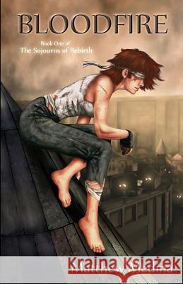 Bloodfire: Book One of The Sojourns of Rebirth