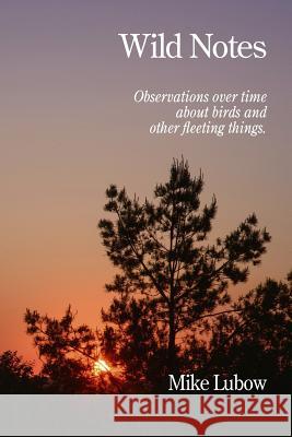 Wild Notes: Observations over time about birds and other fleeting things