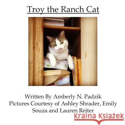 Troy The Ranch Cat