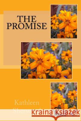 The Promise