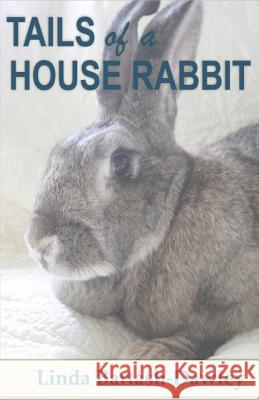 Tails of a House Rabbit