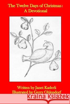 The Twelve Days of Christmas: A Devotional