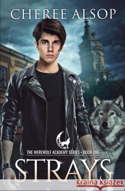 Werewolf Academy Book 1: Strays: Strays