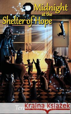 Midnight at the Shelter of Hope