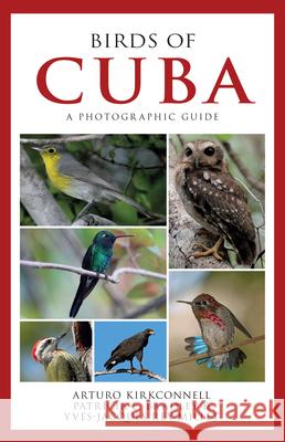 Birds of Cuba: A Photographic Guide - audiobook