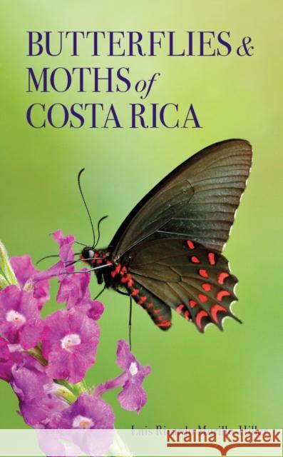 Butterflies and Moths of Costa Rica