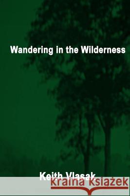 Wandering in the Wilderness: (Kinky, Quirky, and Desperation Stories)