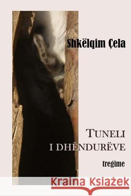 Tuneli I Dhendureve