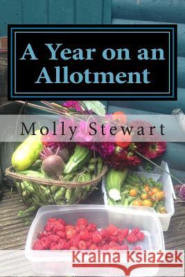 A Year on an Allotment