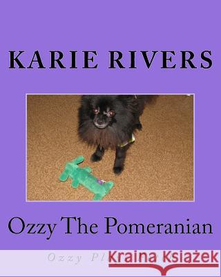 Ozzy The Pomeranian: Ozzy Plays Fetch