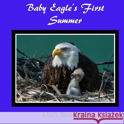 Baby Eagle's First Summer