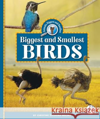 Biggest and Smallest Birds