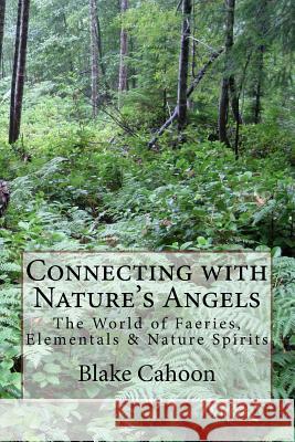 Connecting with Nature's Angels: The World of Faeries, Elementals & Nature Spirits