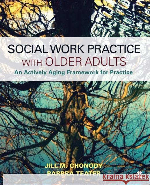 Social Work Practice With Older Adults: An Actively Aging Framework for Practice