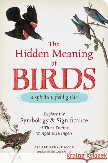 The Hidden Meaning of Birds--A Spiritual Field Guide: Explore the Symbology and Significance of These Divine Winged Messengers