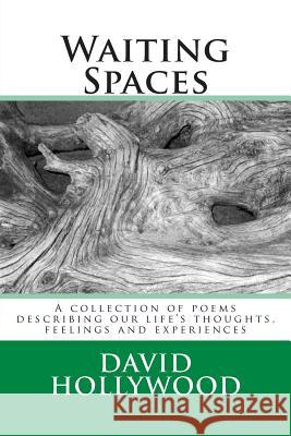 Waiting Spaces: A collection of poems describing our life's thoughts, feelings and experiences