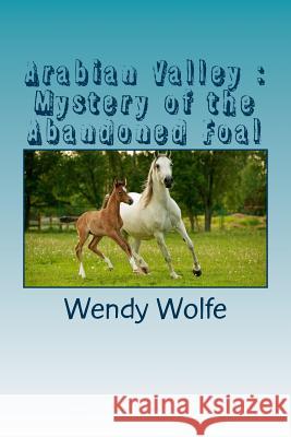 Arabian Valley: Mystery of the Abandoned Foal