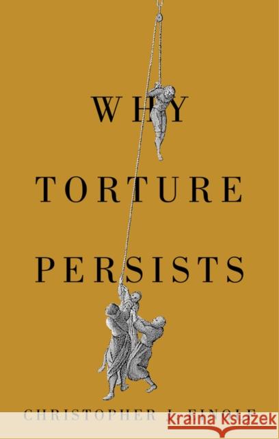 Why Torture Persists