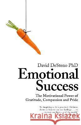 Emotional Success: The Motivational Power of Gratitude, Compassion and Pride