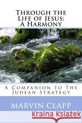 Through the Life of Jesus: A Harmony