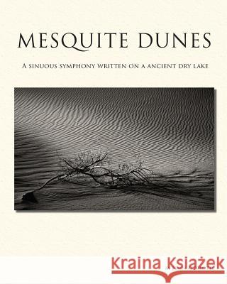 Mesquite Dunes: A sinuous symphony written on a ancient dry lake