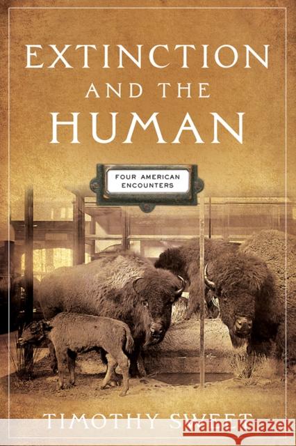 Extinction and the Human: Four American Encounters