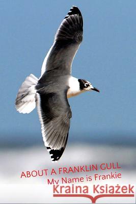 About a Franklin Gull: My Name is Frankie