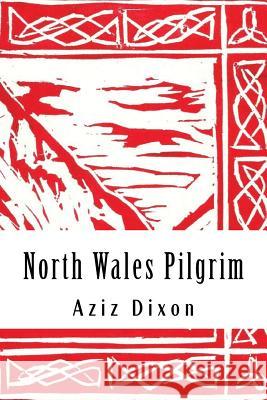 North Wales Pilgrim: a poetic journey: reflections on a pilgrimage from Holywell to Bardsey