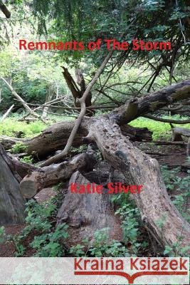 Remnants of the Storm: Storms Trilogy book 3