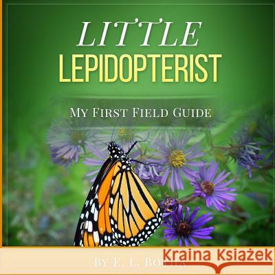 Little Lepidopterist
