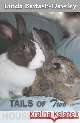 Tails of Two House Rabbits