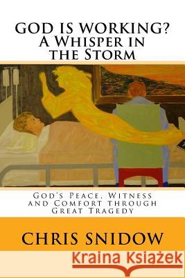 GOD IS WORKING? A Whisper in the Storm: God's Peace, Witness and Comfort through Great Tragedy
