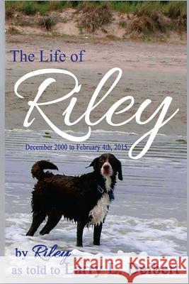 The Life Of Riley