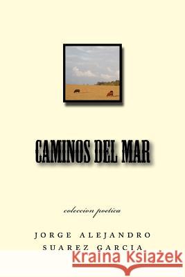 caminos del mar: coleccion poetica