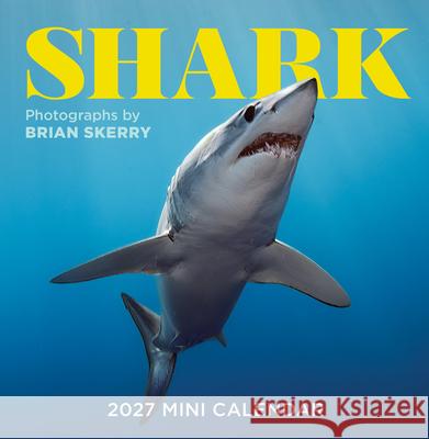 Shark Mini Wall Calendar 2027