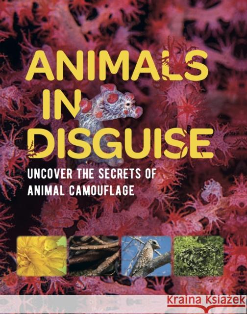Animals in Disguise