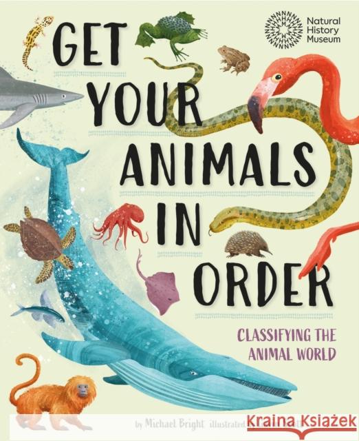 Get Your Animals in Order: Classifying the Animal World