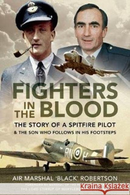 Fighters in the Blood: The Story of a Spitfire Pilot - And the Son Who Follows in His Footsteps