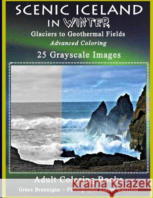 Scenic Iceland in Winter: Glaciers to Geothermal Fields: Advanced Coloring 25 Grayscale Images