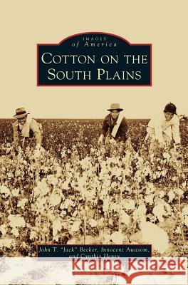 Cotton on the South Plains