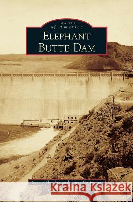 Elephant Butte Dam