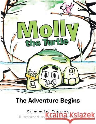 Molly the Turtle: The Adventure Begins