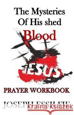 The Mysteries of his Shed Blood (Prayer Workbook): Changing your world by prayer