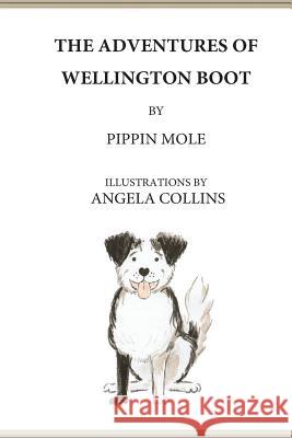 The Adventures of Wellington Boot