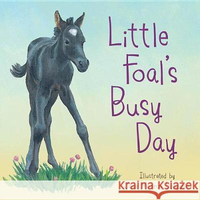 Little Foal's Busy Day