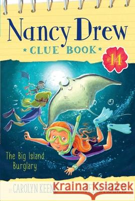 The Big Island Burglary