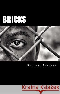 Bricks