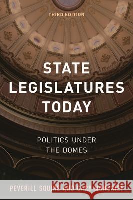 State Legislatures Today: Politics Under the Domes