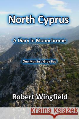 North Cyprus - a Diary in Monochrome: One Man in a Grey Bus