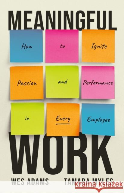 Meaningful Work: How to Ignite Passion and Performance in Every Employee